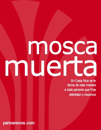 moscamuerta