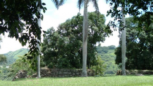 La antigua aduana alajuela2