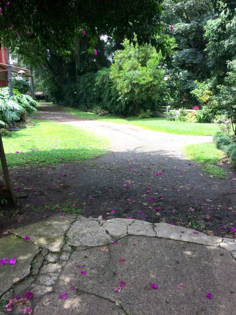 Jardín de Casa de Alfredo Stanfort