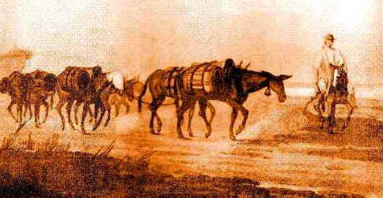 Resultado de imagen para la mula como medio de transporte en costa rica